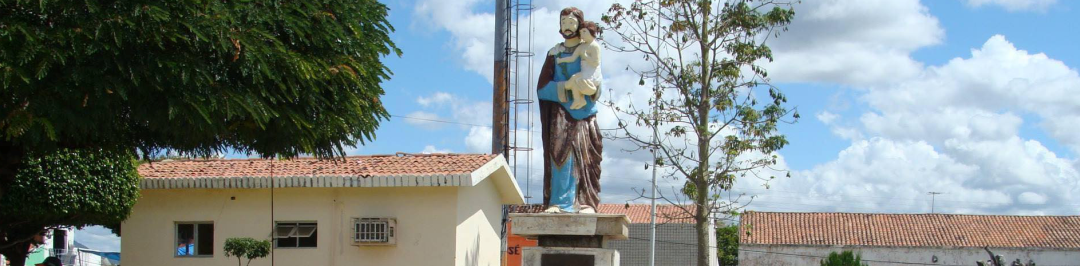 Seção de busca no portal