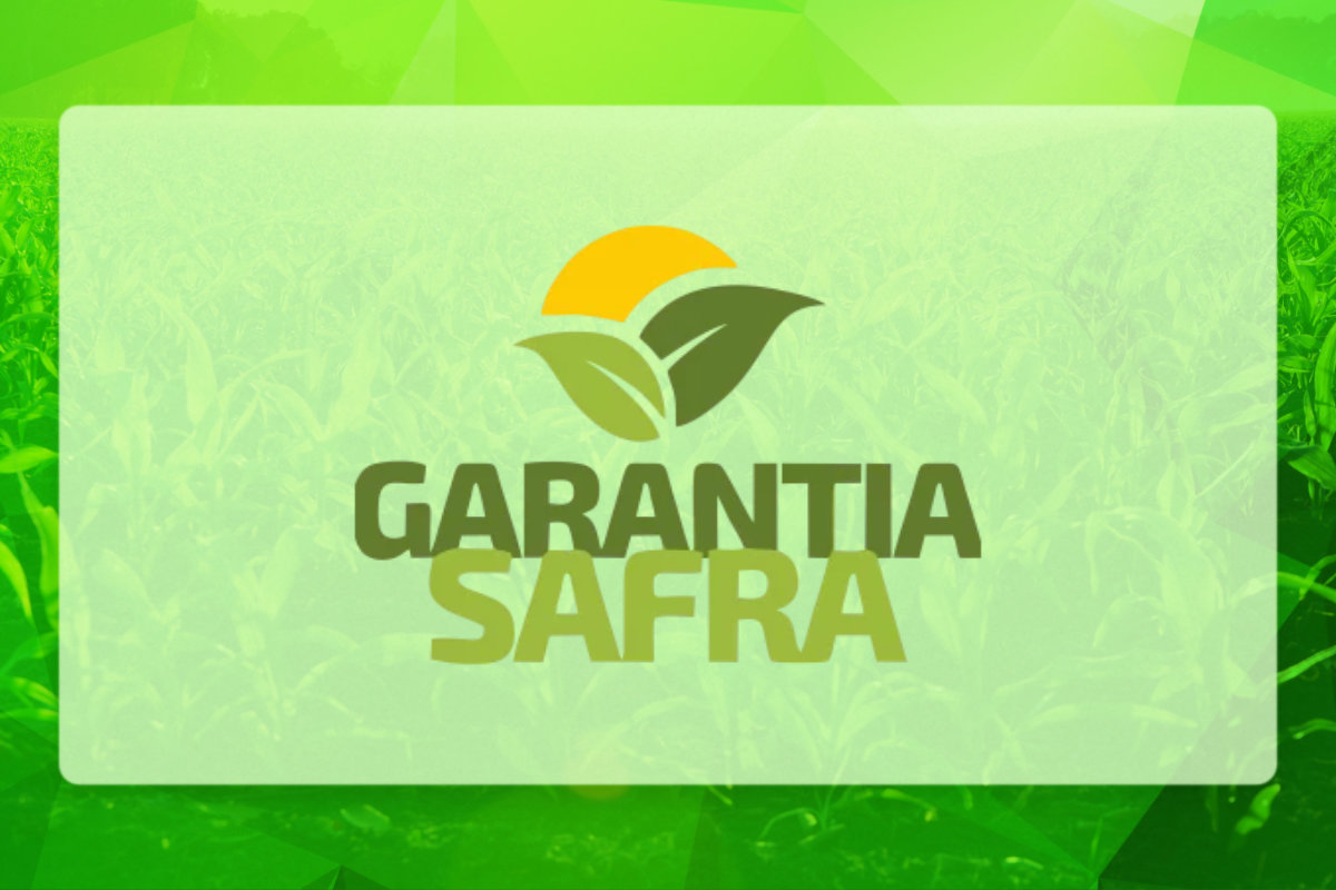 Prefeitura de São José da Lagoa Tapada anuncia entrega de boletos do Garantia-Safra 2025/2026