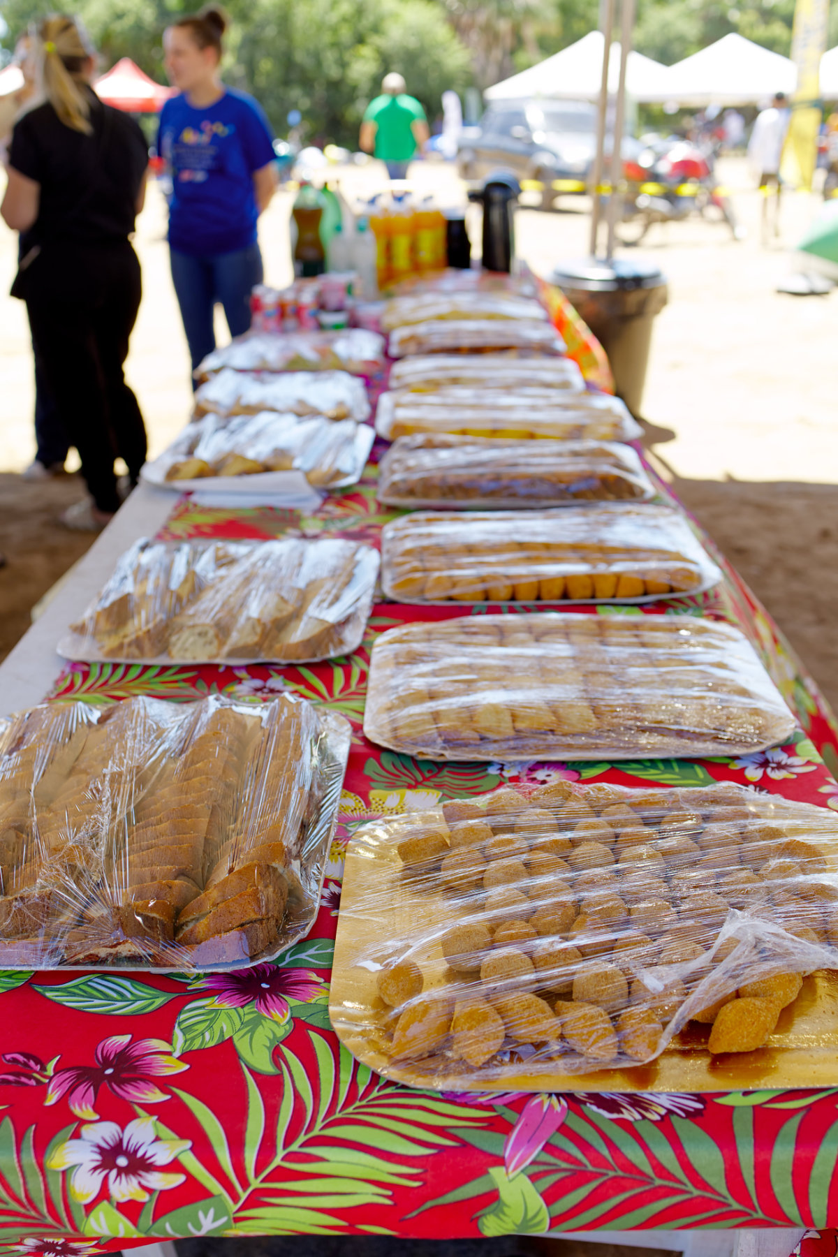 3_fest_leite_mel_71